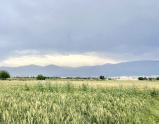 IMG_1637 زمین 600متری در حاجی آباد