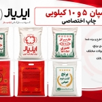 اسپان