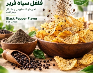 file_00000000ef1c8246b5235600292b5a54 🌶️ فلفل سیاه فریر؛ طعمی متفاوت برای چیپس