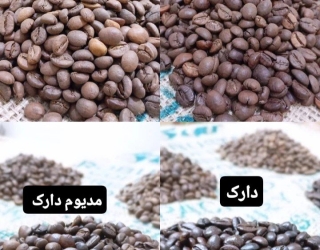 پخش عمده قهوه و پدریجات