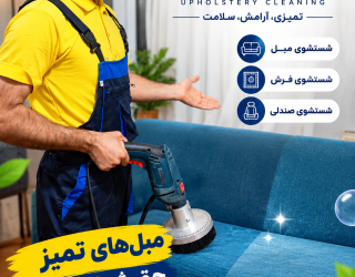 1000069117 مبلشویی تمیس کار