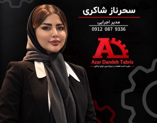 950376c6-632e-4e51-bd8c-9529c73f7a38 شرکت