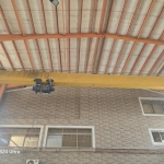 1000284617