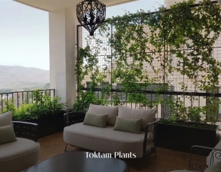 1000235356 کارشناس گیاه پزشک، درمان تخصصی گل و گیاه، باغبانی