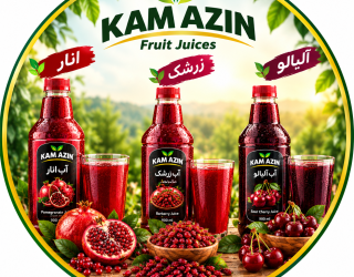 file_00000000b9c482308dd703b5a56728af تولید آبمیوه و نوشیدنی آب زرشک آب انار آب آلبالو