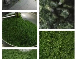 1000219733 سبزی