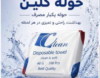 حوله یکبار مصرف سالنی 
