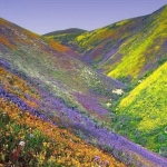 images (19)