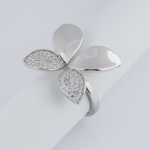 The-scientific-and-religious-properties-of-silver-rings