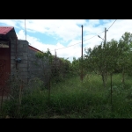 Screenshot_20261014-064848_Divar