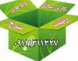 کارتن سازی لاله در رشت 