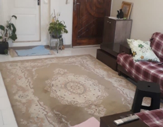 32307 44 متری سند دار خوش نقشه