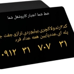 1000368011