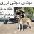 مهندس مجتبی  نوری  - avatar