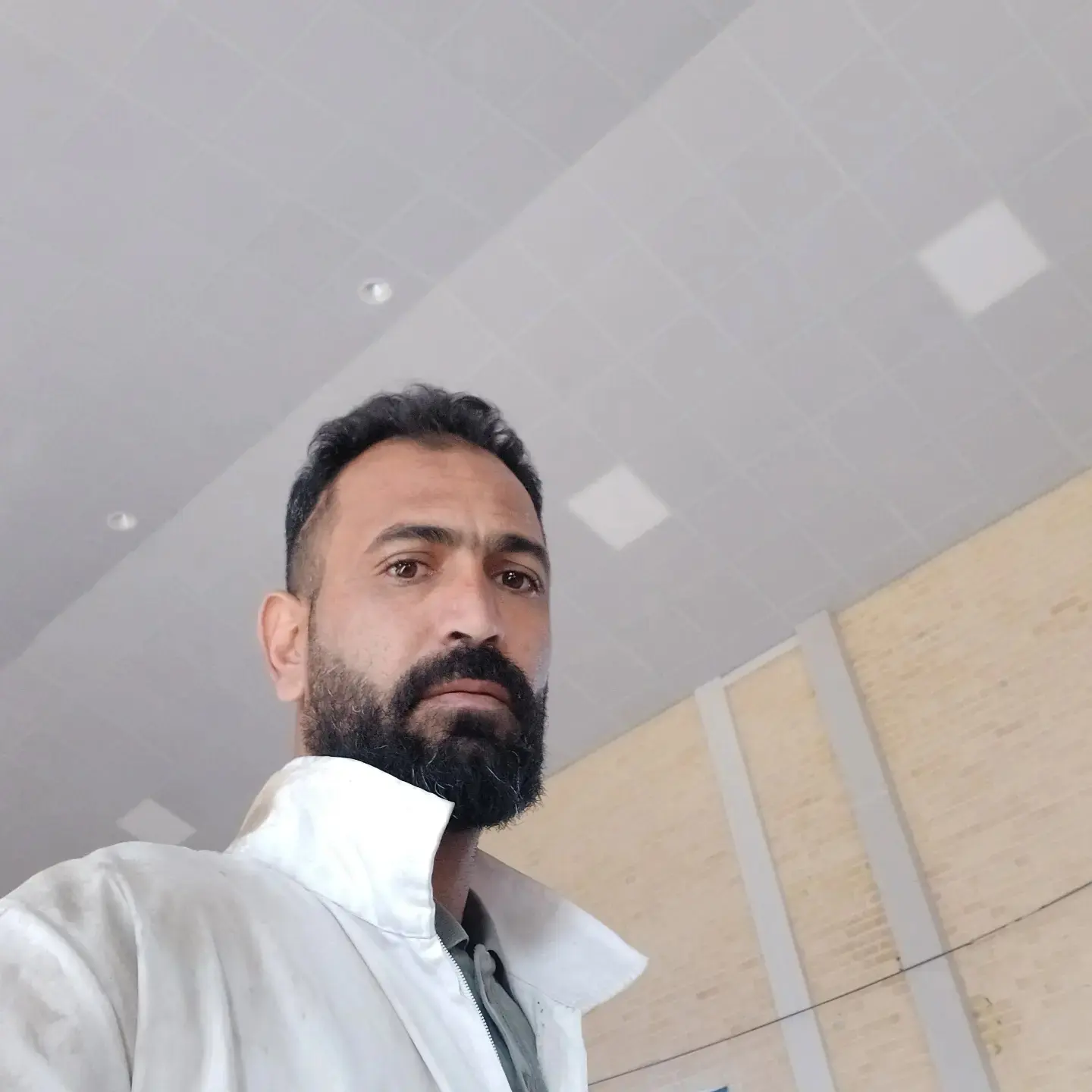 روح الله خداشاهی - avatar