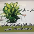 ابوالفضل  فتحی لهمالی  - avatar
