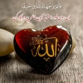 ندا جاهدی - avatar