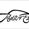 automarvell nazari - avatar