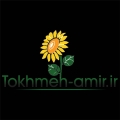 امیر علمیرزالو - avatar