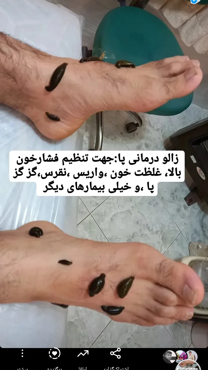 مجید امجدیان - avatar
