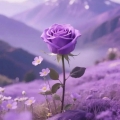 مرادعلی  غفاری  - avatar