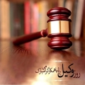 مجید  علی پور - avatar