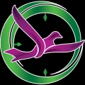 گیسوم گشت - avatar
