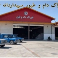 پیام  مختاری  - avatar