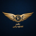 سیاوش دیوان نژاد - avatar