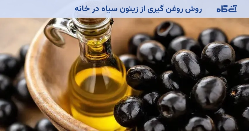 روش روغن گیری از زیتون سیاه در خانه