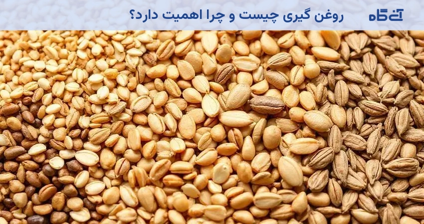 روغن گیری چیست و چرا اهمیت دارد؟