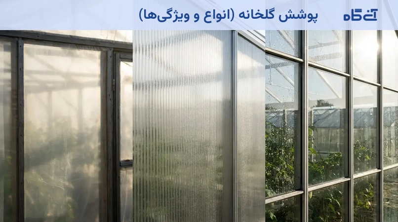 پوشش گلخانه (انواع و ویژگیها)