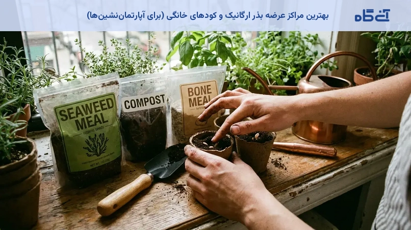 بهترین مراکز عرضه بذر ارگانیک و کودهای خانگی (برای آپارتمان‌نشین‌ها)