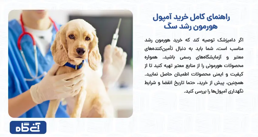 راهنمای کامل خرید آمپول هورمون رشد سگ