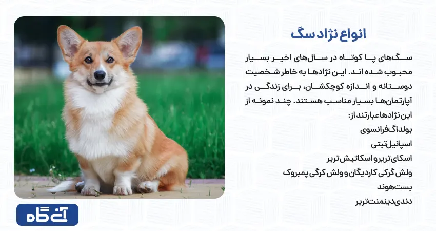 انواع نژاد سگ