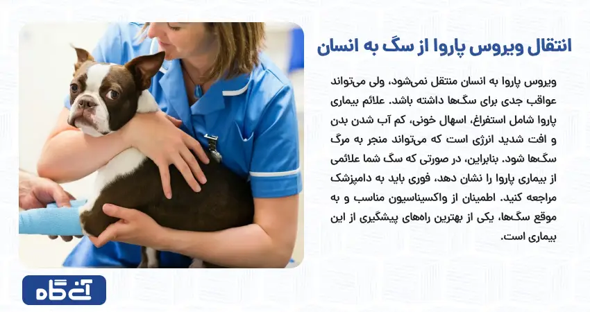 انتقال ویروس پاروا از سگ به انسان