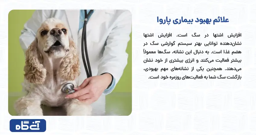 علائم بهبودی بیماری پاروا