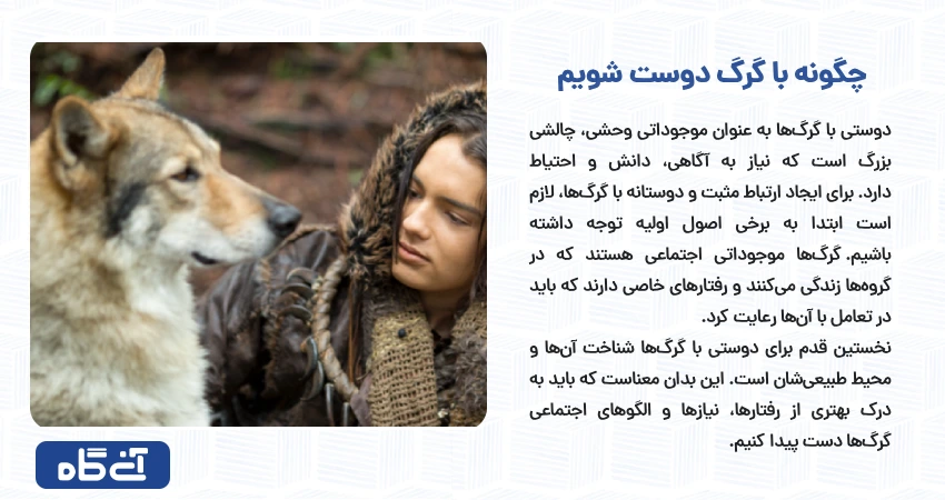 چگونه با گرگ دوست شویم