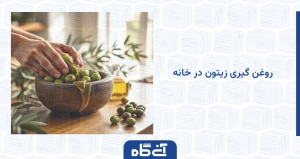 روغن گیری زیتون در خانه