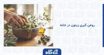 روغن گیری زیتون در خانه